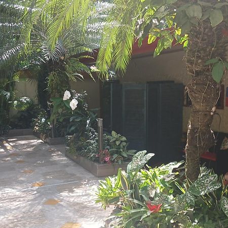 Coyaba Tropical Elegant Adult Guesthouse Manuel Antonio Buitenkant foto